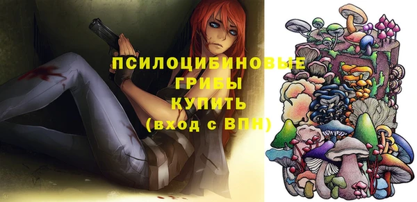 a pvp Абаза