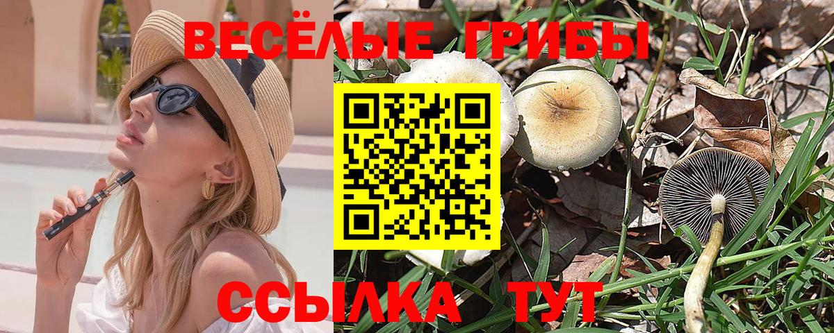 Пенза  Псилоцибиновые грибы Psilocybine cubensis  Вход с VPN 